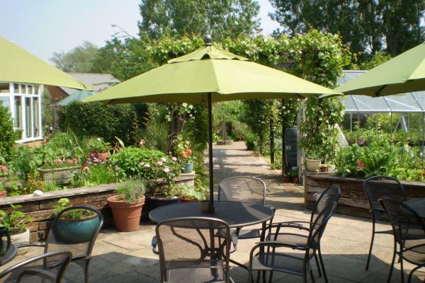 Lots of flowers in a garden with picnic tables and parasols