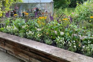 Flowers in a planter